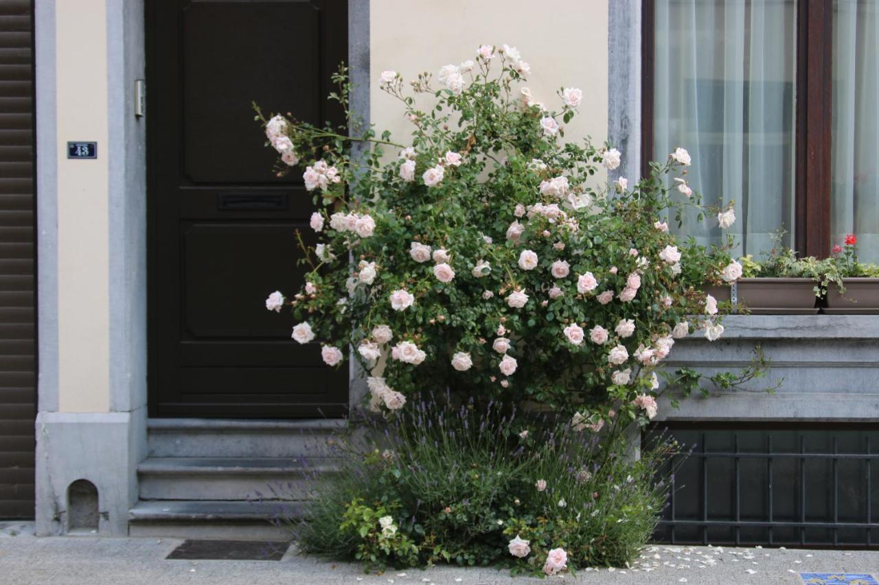 B&B Les Iris Bruxelles Eksteriør billede